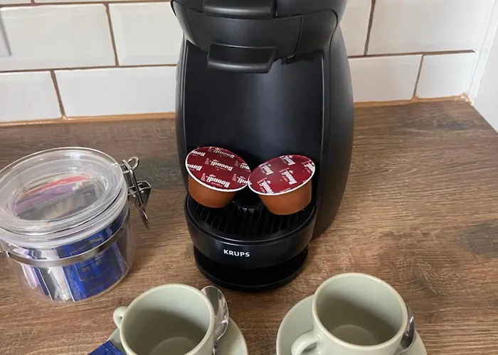 Ela's Terrace 알보르